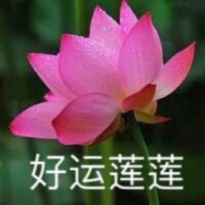 神位纷争公测版下载